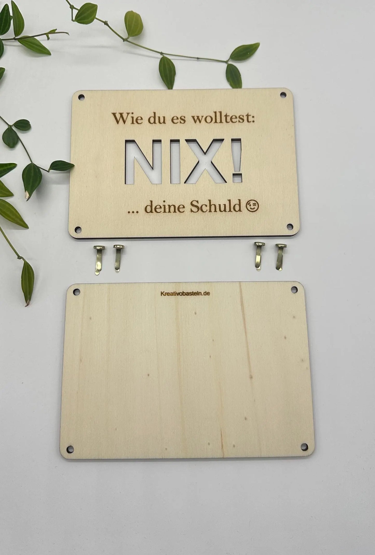Geldgeschenk "Wie du es wolltest: Nix!" KreativoBasteln
