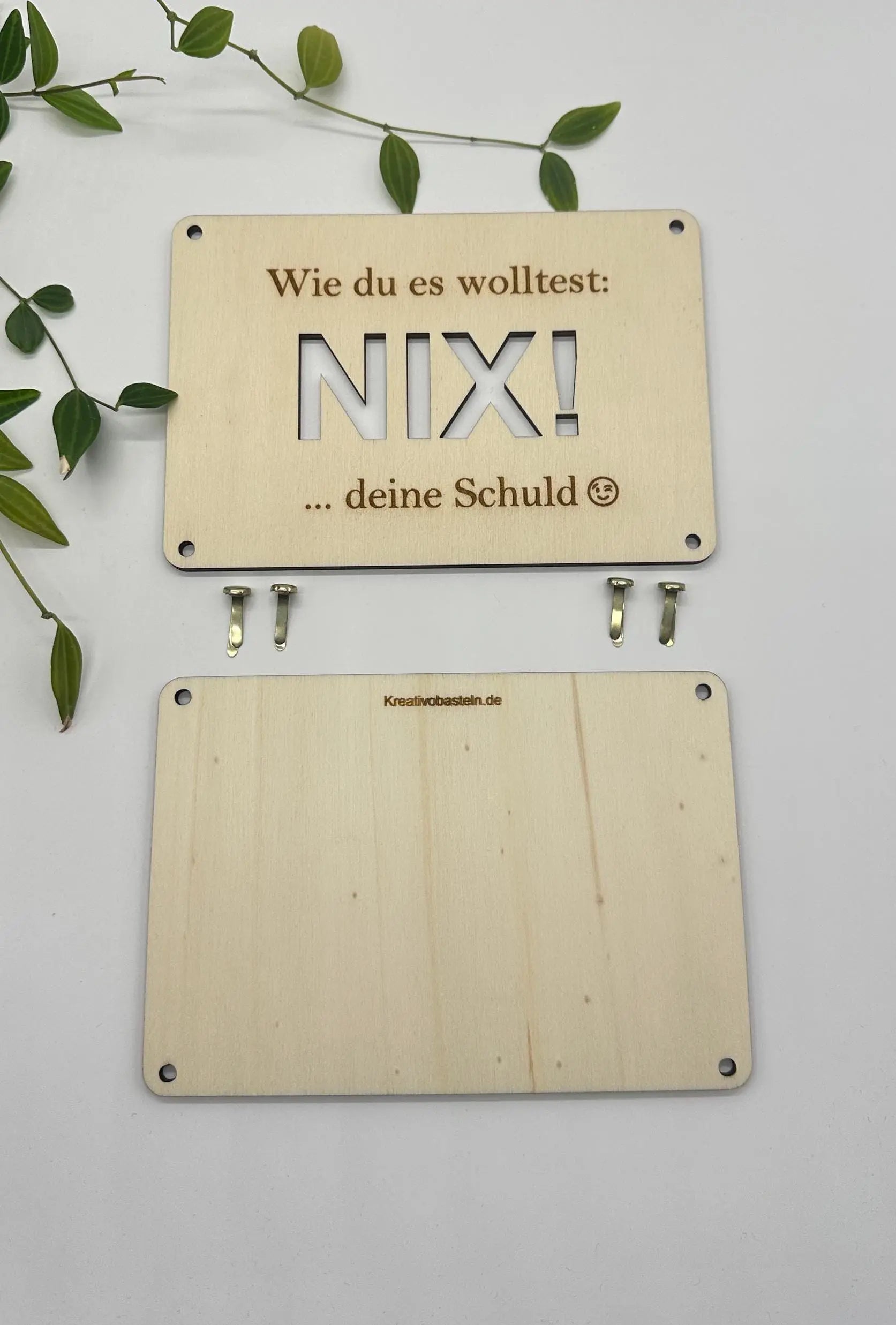 Geldgeschenk "Wie du es wolltest: Nix!" KreativoBasteln